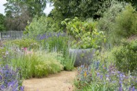 Path winding between herbaceous borders in the Iconic Horticultural Hero Garden by Tom Stuart-Smith - RHS Hampton Court Palace Festival 2021