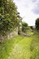 Mown grass path, with rose petals, between long grass leading to steps. July. Summer. Gloucestershire, UK. 