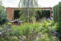 The Viking Friluftsliv Garden. A pergola above dining and kitchen areas is seen over a bed of astrantias, penstemons, hydrangeas, heleniums, fennel and grasses, beneath a tall birch tree.