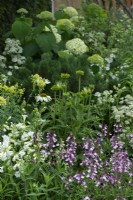 The Viking Friluftsliv Garden. Soft planting in shades of pink, pale yellow, greens and white with penstemons, astrantias, coneflowers, thalictrum and salvias.