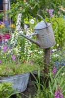 Down Memory Lane. A galvanised watering can perched on a post creates an unusual water feature