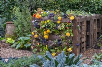 RHS No Dig Allotment Demonstration Garden. An ornamental compost heap made from old pallets.