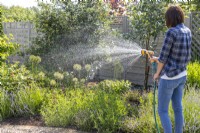Woman using a hose with a spray gun to water plants