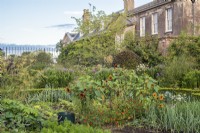 Vegetable garden with house in September
