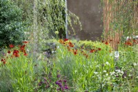Mixed border with Helenium 'Moerheim Beauty' - The Viking Friluftsliv Garden - RHS Hampton Court Festival 2021