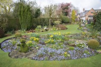 Spring borders with Chionodoxa, Narcissus, Primula and Muscari - Parm Place, NGS garden, Great Budworth, Cheshire