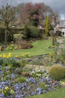 View over bed with Chionodoxa and Narcissus wide grass path between beds