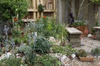 In the Punk Rockery Garden, builders' rubble and brick dust have been used to grow drought-loving mediterranean plants such as Eryngiums,  and succulents; reclaimed timber and pallets are used as fencing- Designer: Amanda Grimes -