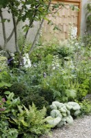 The woodland style planting includes a multi-stemmed  Corylus, clipped Taxus baccata, Brunnera macrophylla 'Jack Frost', Delphinium and Polystichum polyblepharum with in the background a wooden screen made of Sussex-grown sweet chestnut in The Communication Garden - Designer: Amelia Bouquet - Sponsors: London Stone, Practicality Brown, Urbis Design -