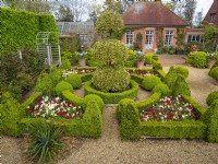 Small parterre on gravel, Buxus - Box - edged beds filled with Tulipa - Tulip with Ilex - Holly - focal point