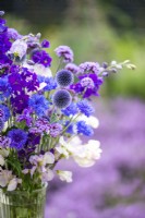 Lathyrus 'High Scent' - Sweet Pea, Centurea 'Double Blue' - Cornflower, Consolida ajacis 'Blue spire', Echinops ritro, Verbena bonariensis arranged in a glass vase