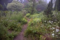 Holbrook Garden naturalistic drifts of natives and introduced perennials in June
