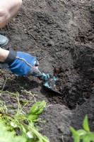 Using a trowel to add well-rotted organic matter to a planting hole