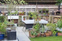 Summer outdoor kitchen and dining area surrounded with containers planted with herbs and vegetables. 