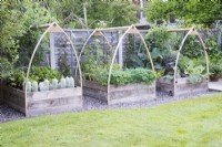 Raised wooden beds with arched frame for protective netting