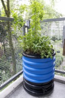 Balkonton - Balcony Barrel - composting system. A planted pot grows above a blue wormery with kitchen waste, underneath is a reservoir to collect liquid.