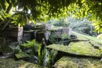 The moss garden and rockery. July