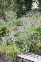  Bench on stone wall, beyond flower beds with Centranthus ruber - Red Valerian, Digitalis, Geranium and Stipa gigantea