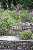 Stone retaining wall with bench. Beyond flowerbed with Digitalis, Lupinus and Geranium 