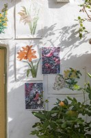 Interior of conservatory old gardening prints on wall