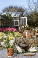 Table set for tea near potted flowering bulbs, country garden beyond