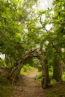 A wooden arch made of Rhodendron branches over a path leading to the Wilderness Garden