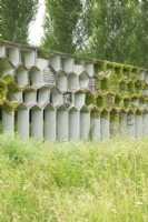 Climbing plants occupy the concrete percola which is adorned with ferns, moss and nesting for different animals.