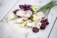 Mixed bunch of Lathyrus 'Champagne Bubbles' and  'Windsor' - Sweet Peas