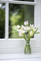 Simple glass vase with Lathyrus 'High Scent' - Sweet Pea