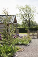 Blooming Wild Nursery in Somerset in June