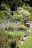 Herbaceous border at Newby Hall, North Yorkshire, in July including delphiniums, achilleas and echinaceas.