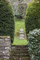 Steps lead up between yew hedges toward a bank with a stone feature at Lower House, Powys in March