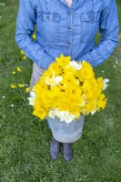 Person holding a bouquet of white and yellow mixed Narcissus in a metal bucket