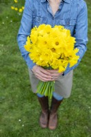 Person holding a bouquet of mixed Narcissus
