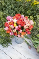 View from above of Bouquet of Tulipa Darwin Hybrid Mix - Tulips 