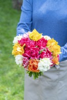 Person holding a bouquet of mixed Tulips