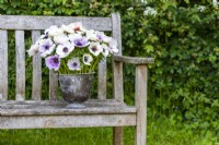 Bouquet of Anemone Pastel Mix and Panda in galvanised bucket on wooden bench