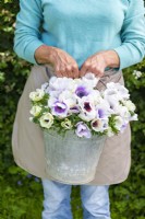 Woman holding galvanised bucket with Anemone Panda and Pastel Mix