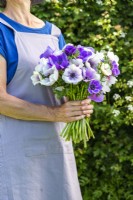 Woman holding bouquet with Anemone Blue and Pastel Mix