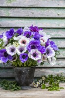 Bouquet of Anemone Blue and Pastel mix in galvanised bucket