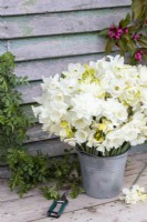 Bouquet of white Narcissus - Daffodils in galvanised bucket 