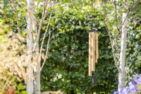 Bamboo wind chime hanging from a Birch tree