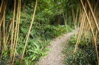 A gravel path covered with fallen bamboo leaves, running between golden bamboo canes in August