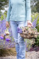 Person carrying a trug of Echinops, Poppy seed pods, nigella seed pods, Teasel, Scabiosa in a trug with Cardoons