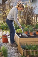 Woman preparing raised vegetable bed using garden fork.