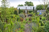 View over topiary to arch, Fuchsia triphylla 'Thalia' in pots, gravel path with Calendula officinalis and Lavandula angustifolia. Mixed topiary: Pittosporum, Hebe and Buxus 