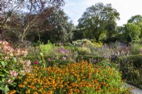 Large country garden with hot borders in late summer, filled with Helenium 'Sahins Early Flowerer', Dahlias and Lythrum salicaria