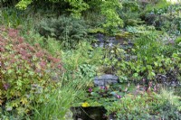 Lily pads in small pond with rill, surrounded with lush planting, including Cyperus, Filipendula and Astilbe.
