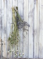 Hang lavender flowers  and poppy seed heads to dry.