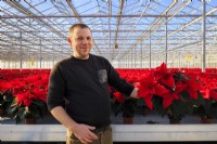 Man in a commercial nursery growing poinsettia such as 'Infinity Red,' 'Astro Red' and 'Christmas Feelings'. 